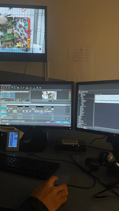 TV Lux montage vidéo copie